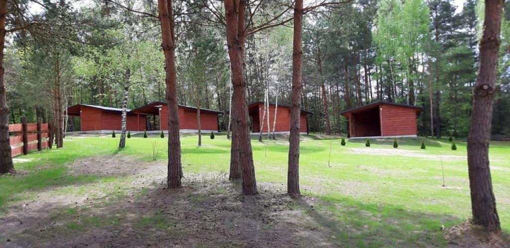 Domki Wrzosowe Wzgorza Nr2 Horyniec Екстер'єр фото