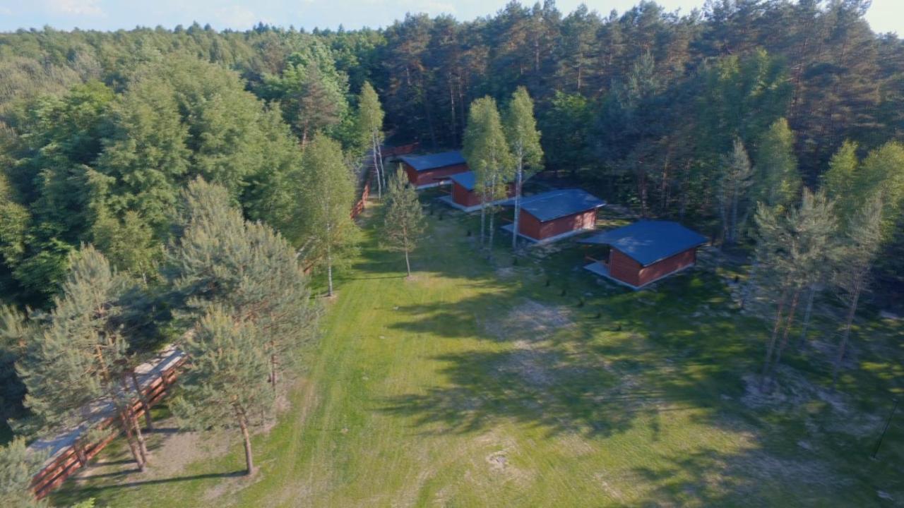 Domki Wrzosowe Wzgorza Nr2 Horyniec Екстер'єр фото