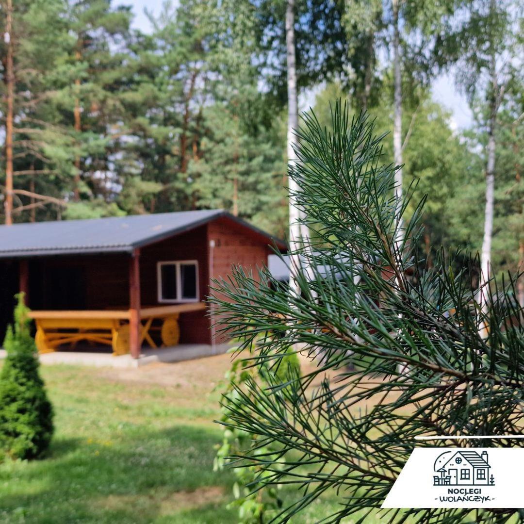 Domki Wrzosowe Wzgorza Nr2 Horyniec Екстер'єр фото